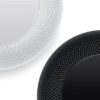 Apple HomePod Gris Sideral