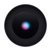 Apple HomePod Gris Sideral